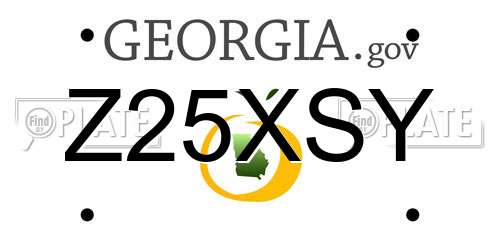 Z25XSY Georgia License Plate
