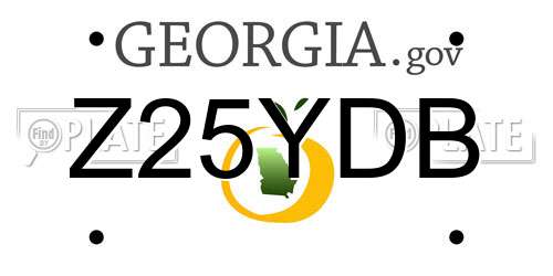 Z25YDB Georgia License Plate