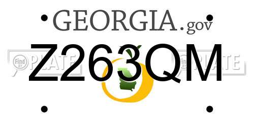 Z263QM Georgia License Plate