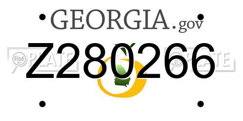 Z280266 Georgia License Plate