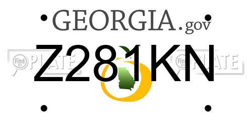 Z281KN Georgia License Plate