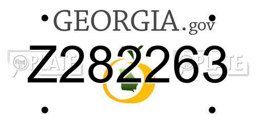 Z282263 Georgia License Plate