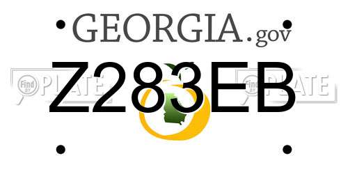 Z283EB Georgia License Plate