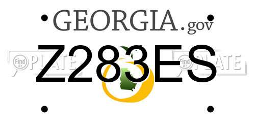 Z283ES Georgia License Plate