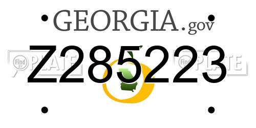 Z285223 Georgia License Plate