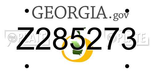 Z285273 Georgia License Plate