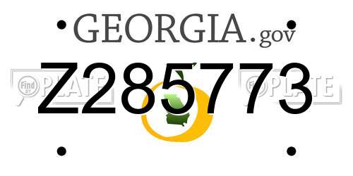 Z285773 Georgia License Plate
