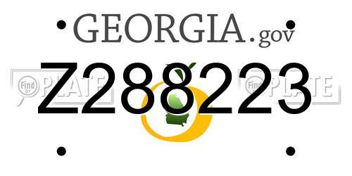 Z288223 Georgia License Plate