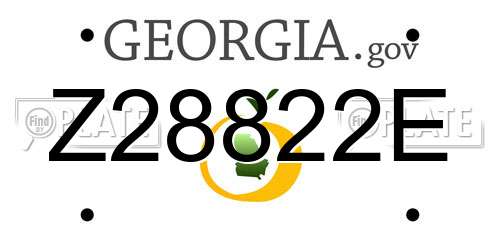 Z28822E Georgia License Plate