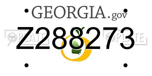 Z288273 Georgia License Plate