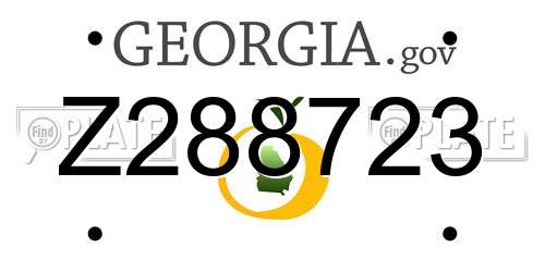 Z288723 Georgia License Plate