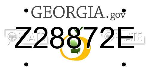 Z28872E Georgia License Plate