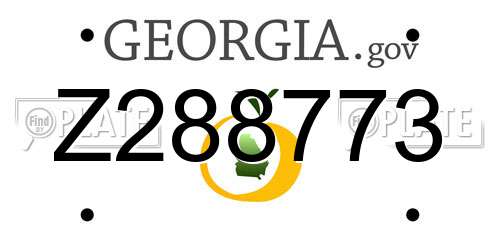 Z288773 Georgia License Plate