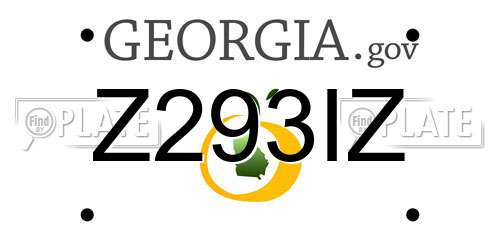 Z293IZ Georgia License Plate