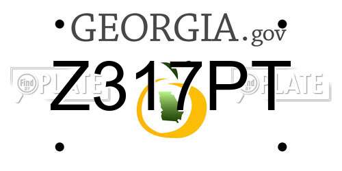 Z317PT Georgia License Plate