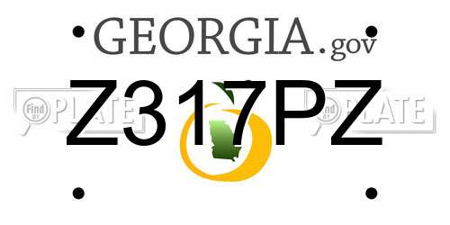 Z317PZ Georgia License Plate