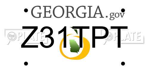 Z31TPT Georgia License Plate