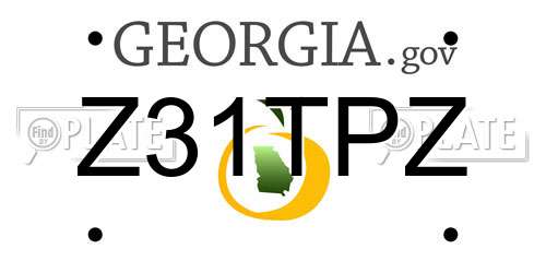 Z31TPZ Georgia License Plate