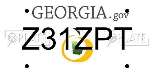 Z31ZPT Georgia License Plate