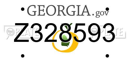 Z328593 Georgia License Plate