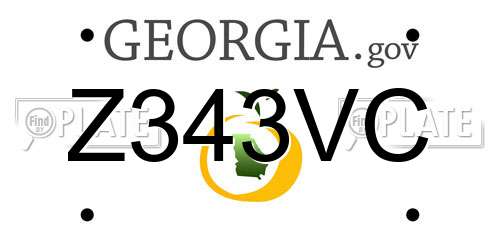 Z343VC Georgia License Plate