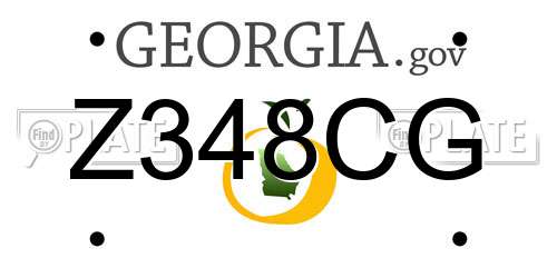 Z348CG Georgia License Plate