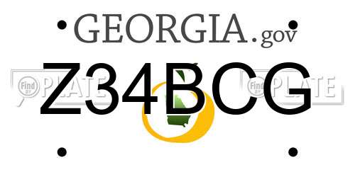 Z34BCG Georgia License Plate