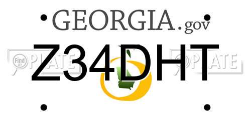 Z34DHT Georgia License Plate