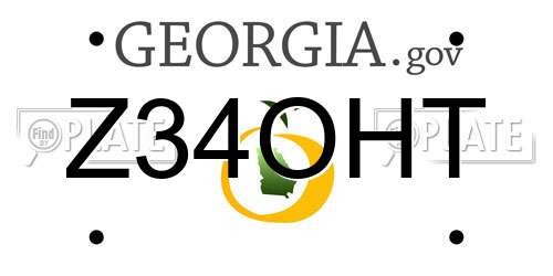 Z34OHT Georgia License Plate