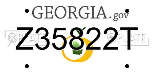 Z35822T Georgia License Plate
