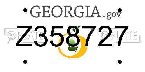 Z358727 Georgia License Plate