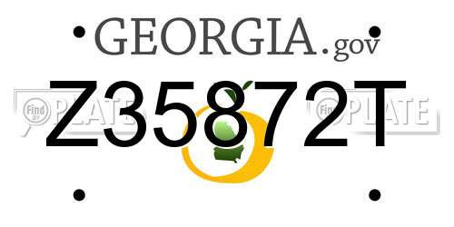 Z35872T Georgia License Plate