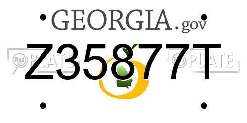 Z35877T Georgia License Plate