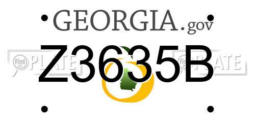 Z3635B Georgia License Plate