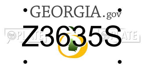 Z3635S Georgia License Plate