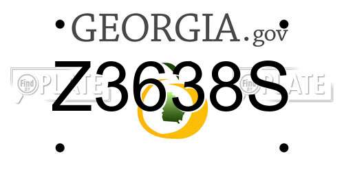 Z3638S Georgia License Plate