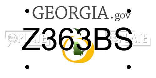 Z363BS Georgia License Plate