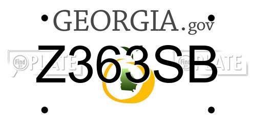Z363SB Georgia License Plate