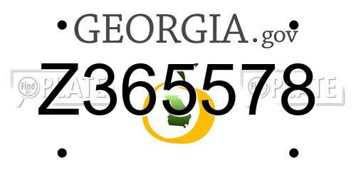Z365578 Georgia License Plate