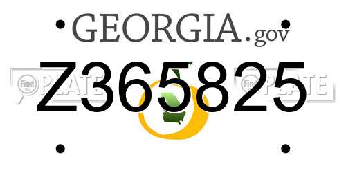 Z365825 Georgia License Plate