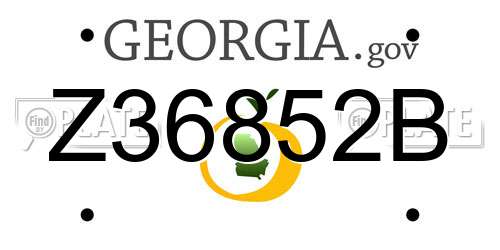 Z36852B Georgia License Plate