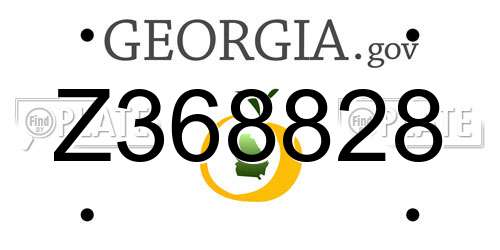 Z368828 Georgia License Plate