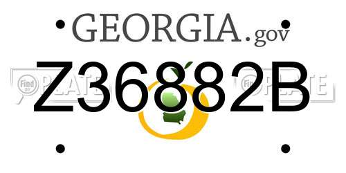 Z36882B Georgia License Plate