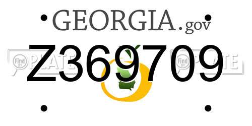 Z369709 Georgia License Plate