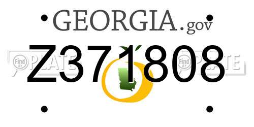 Z371808 Georgia License Plate