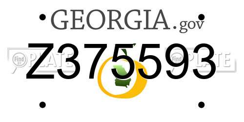 Z375593 Georgia License Plate