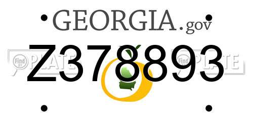 Z378893 Georgia License Plate