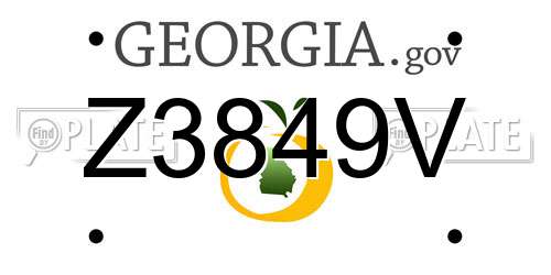 Z3849V Georgia License Plate