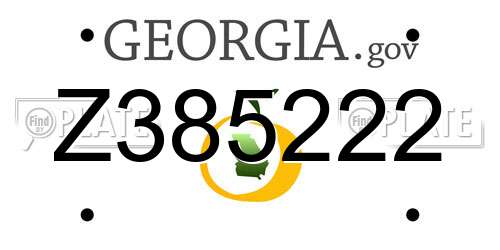 Z385222 Georgia License Plate