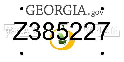 Z385227 Georgia License Plate